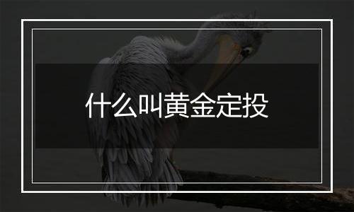 什么叫黄金定投