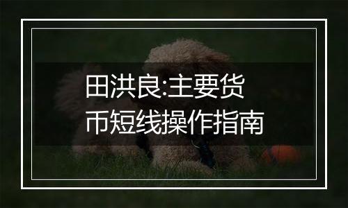 田洪良:主要货币短线操作指南