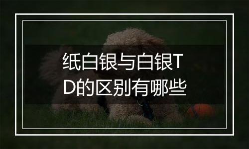 纸白银与白银TD的区别有哪些