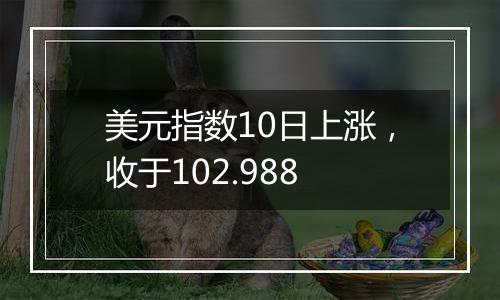 美元指数10日上涨，收于102.988