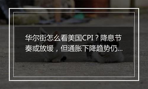 华尔街怎么看美国CPI？降息节奏或放缓，但通胀下降趋势仍未变