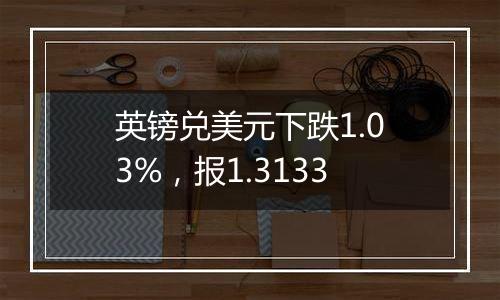 英镑兑美元下跌1.03%，报1.3133