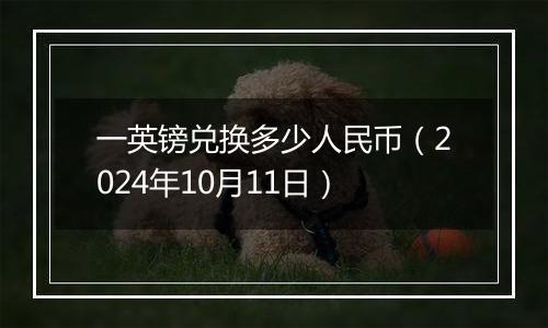 一英镑兑换多少人民币（2024年10月11日）