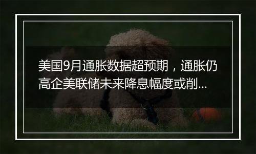 美国9月通胀数据超预期，通胀仍高企美联储未来降息幅度或削减