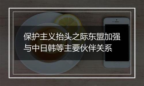 保护主义抬头之际东盟加强与中日韩等主要伙伴关系