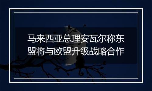 马来西亚总理安瓦尔称东盟将与欧盟升级战略合作