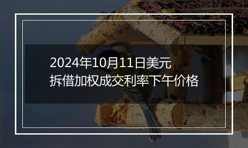 2024年10月11日美元拆借加权成交利率下午价格