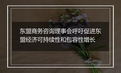 东盟商务咨询理事会呼吁促进东盟经济可持续性和包容性增长