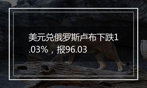 美元兑俄罗斯卢布下跌1.03%，报96.03