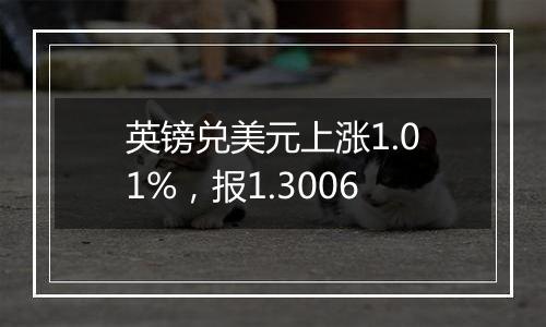 英镑兑美元上涨1.01%，报1.3006