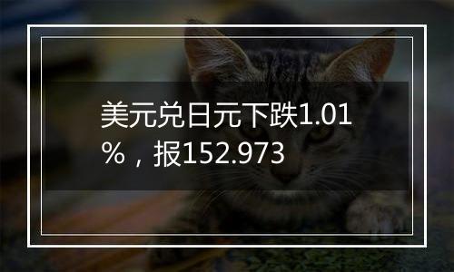 美元兑日元下跌1.01%，报152.973