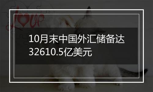 10月末中国外汇储备达32610.5亿美元