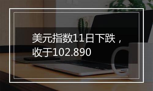 美元指数11日下跌，收于102.890