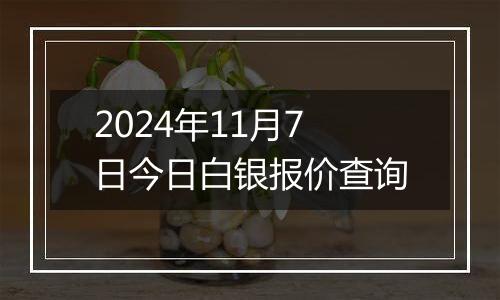 2024年11月7日今日白银报价查询