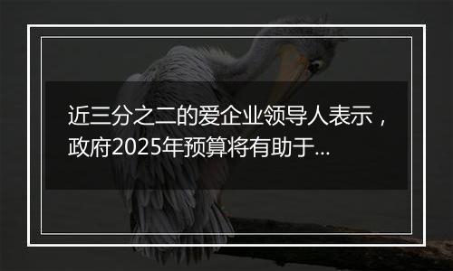 近三分之二的爱企业领导人表示，政府2025年预算将有助于增长