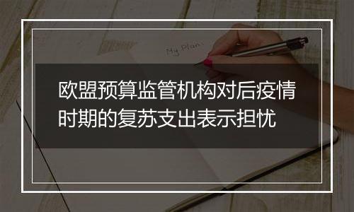 欧盟预算监管机构对后疫情时期的复苏支出表示担忧