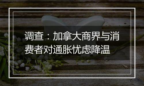 调查：加拿大商界与消费者对通胀忧虑降温