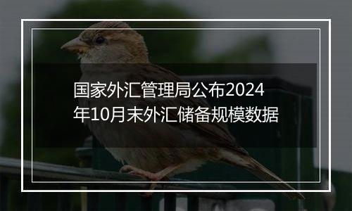 国家外汇管理局公布2024年10月末外汇储备规模数据