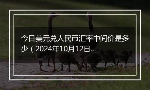 今日美元兑人民币汇率中间价是多少（2024年10月12日）