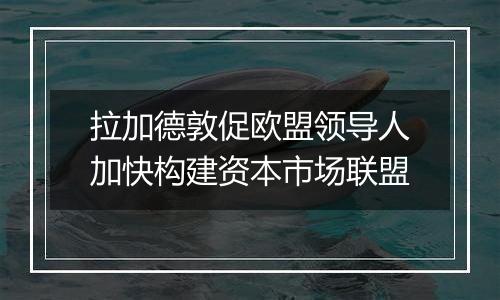 拉加德敦促欧盟领导人加快构建资本市场联盟