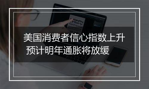 美国消费者信心指数上升 预计明年通胀将放缓