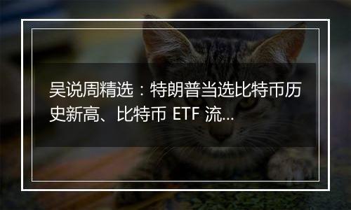 吴说周精选：特朗普当选比特币历史新高、比特币 ETF 流入新高、SEC 主席人选出炉、美联储降息与新闻 Top10