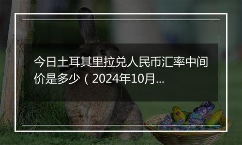 今日土耳其里拉兑人民币汇率中间价是多少（2024年10月12日）