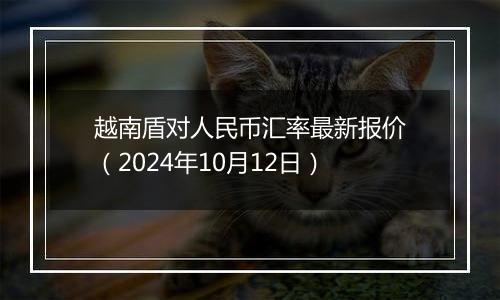 越南盾对人民币汇率最新报价（2024年10月12日）