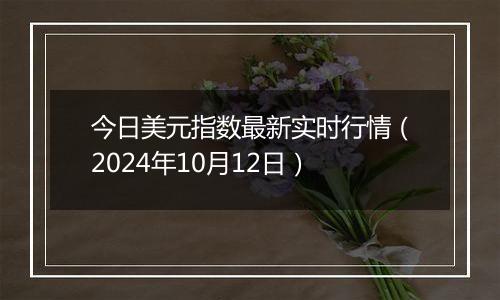 今日美元指数最新实时行情（2024年10月12日）