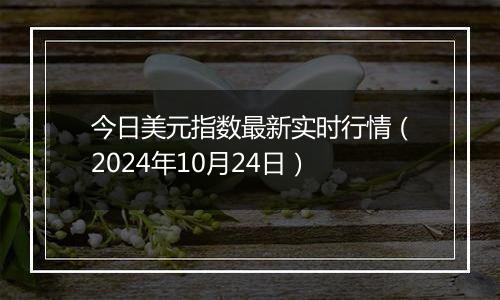 今日美元指数最新实时行情（2024年10月24日）