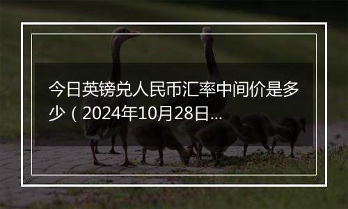 今日英镑兑人民币汇率中间价是多少（2024年10月28日）