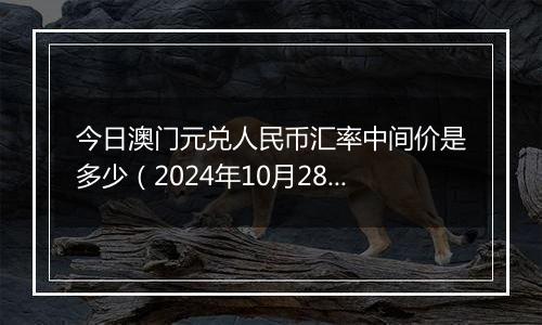 今日澳门元兑人民币汇率中间价是多少（2024年10月28日）