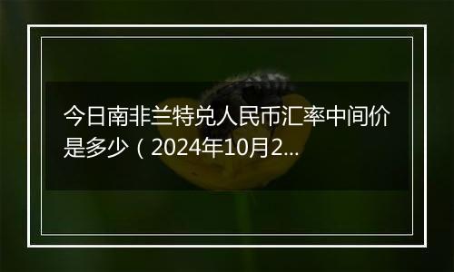 今日南非兰特兑人民币汇率中间价是多少（2024年10月28日）