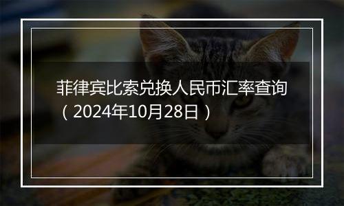 菲律宾比索兑换人民币汇率查询（2024年10月28日）