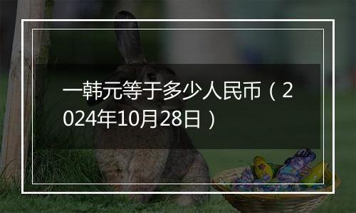 一韩元等于多少人民币（2024年10月28日）