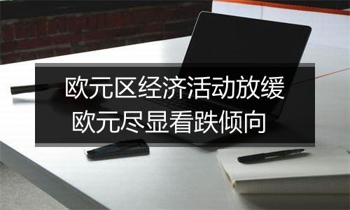 欧元区经济活动放缓 欧元尽显看跌倾向