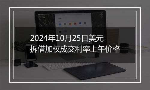 2024年10月25日美元拆借加权成交利率上午价格