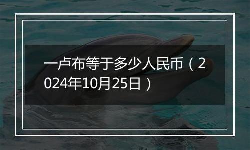 一卢布等于多少人民币（2024年10月25日）