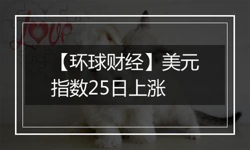 【环球财经】美元指数25日上涨