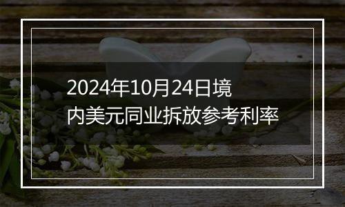 2024年10月24日境内美元同业拆放参考利率