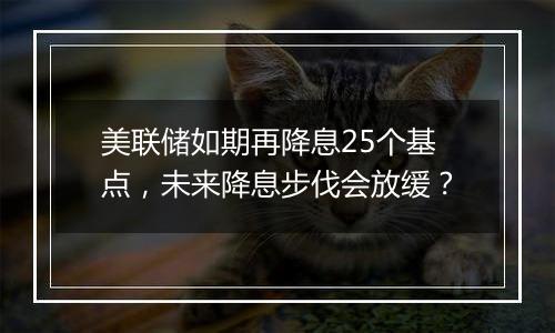 美联储如期再降息25个基点，未来降息步伐会放缓？