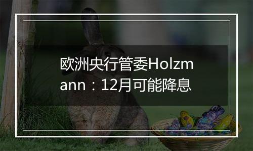 欧洲央行管委Holzmann：12月可能降息