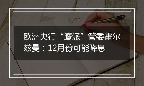 欧洲央行“鹰派”管委霍尔兹曼：12月份可能降息