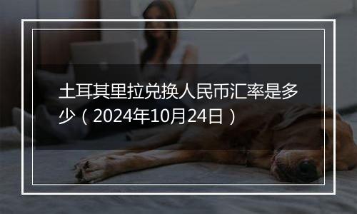 土耳其里拉兑换人民币汇率是多少（2024年10月24日）