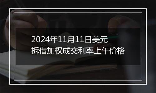 2024年11月11日美元拆借加权成交利率上午价格