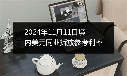 2024年11月11日境内美元同业拆放参考利率