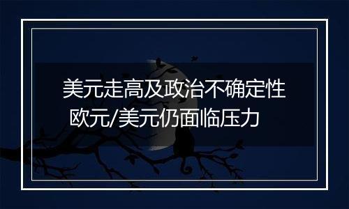 美元走高及政治不确定性 欧元/美元仍面临压力