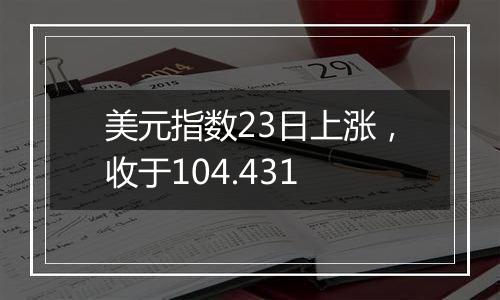 美元指数23日上涨，收于104.431