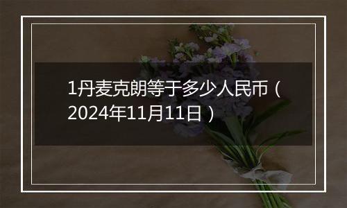 1丹麦克朗等于多少人民币（2024年11月11日）