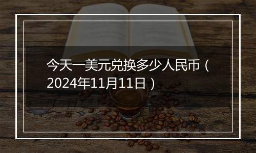 今天一美元兑换多少人民币（2024年11月11日）